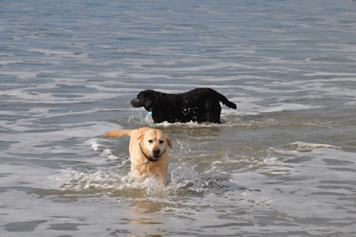 Running in the water